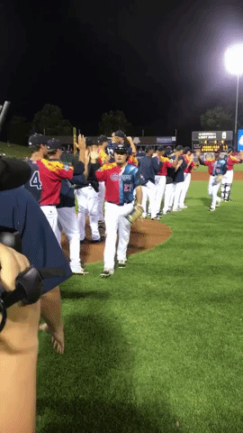kccougars giphygifmaker giphygifmakermobile kccougars GIF