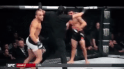 ufc 205 GIF
