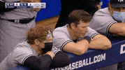 Ny Yankees GIF by Jomboy Media