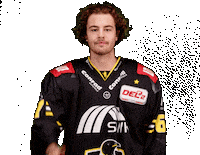 Del2 Seidenstadt Sticker by Krefeld Pinguine