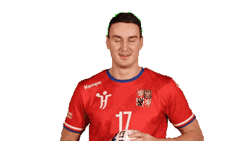 Sport Celebration Sticker by EHF