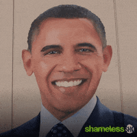Episode 2 Showtime GIF by Shameless