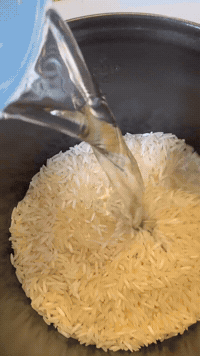 Korean Chili Rice, One Click | Rice Robot