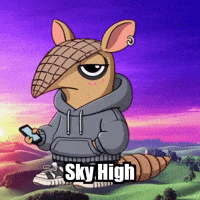 Hot Air Balloon Sunset GIF by Chillo Dillo