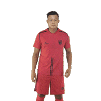Heroisl Northeastunitedfc Sticker by Indian Super League