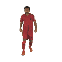 Indian Football Sticker by Indian Super League