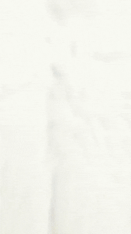 Cat Kitty GIF by Youtooz