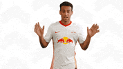 Tyler Adams No GIF by RB Leipzig