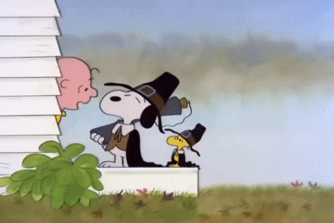 charlie brown thanksgiving GIF by Peanuts