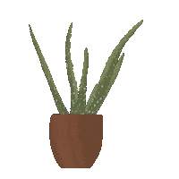Aloe Vera Plants Sticker