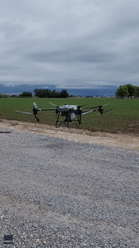 'The Future of Farming': Crop-Dusting Drone Fertilizes Utah Field