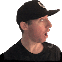 pardon what Sticker by TheMacnabs