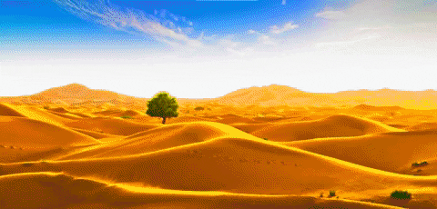 Dhruv_2110 giphygifmaker GIF