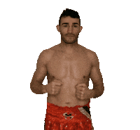 ilgiaguaroMS boxer sfida boxeur combattimento Sticker