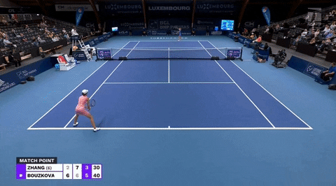 kareljedlika giphyupload GIF