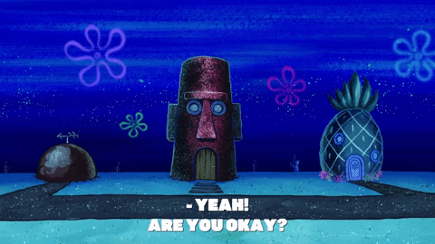 season 9 GIF by SpongeBob SquarePants