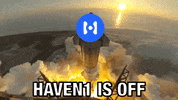 Haven1 Blockchain GIF by Haven1