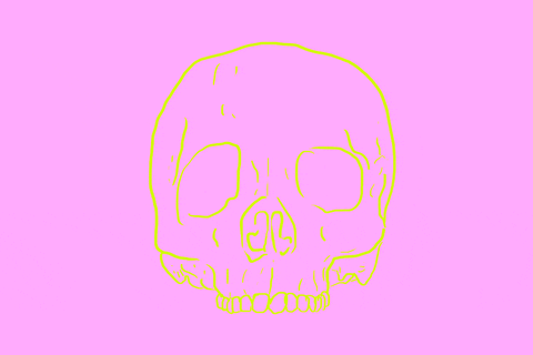 gianfloris giphyupload pink sweet skull GIF