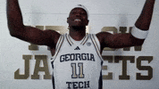 Georgia Tech Adidas GIF by Georgia Tech Yellow Jackets