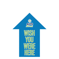 Traveling Wish You Were Here Sticker by AIFS Abroad | Study Abroad & International Internships