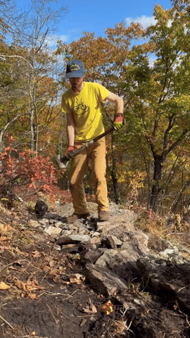 scottmreinhardgmailcom giphyupload GIF