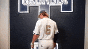 Georgia Tech Baseball GIF by Georgia Tech Yellow Jackets