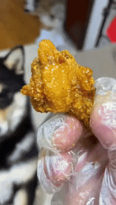 cuteanimalland giphyupload GIF