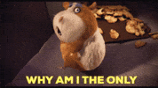 Mad John Krasinski GIF by The Animal Crackers Movie