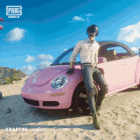 Car Bug GIF by Official PUBG MOBILE