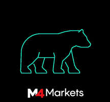 m4markets_marketing bear trading bearish m4m GIF