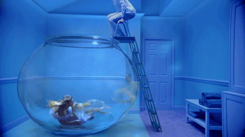 Lover Fishbowl GIF by Taylor Swift