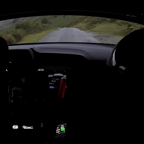 Motorsport Rallying GIF by FIA European Rally Championship