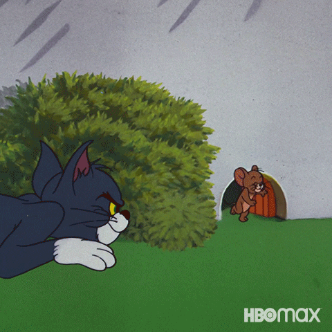 Cartoon gif. From Tom and Jerry, Tom crouches behind a bush as Jerry confidently marches out of a mouse hole, kisses Tom, and scurries away.