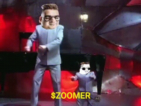 GIF by Zoomer