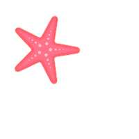 Summer Star Sticker by Capittana