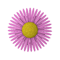 Pink Rotating Sticker by tracheotommy