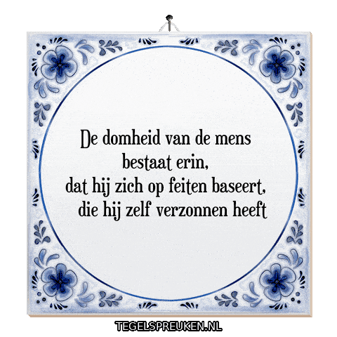 Humor Reflectie Sticker by Tegelspreuken.nl