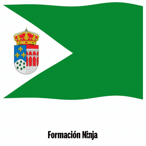 Comunidad De Madrid Bandera GIF by Formación Ninja