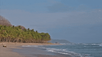 Costa Rica Ocean GIF by Chris