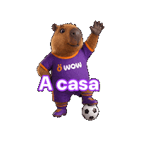 Wowfut Sticker by WOW Perú
