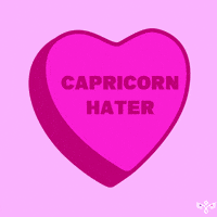 Valentines Day Valentine GIF