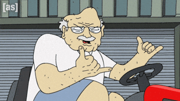 Rock And Roll Yolo GIF by Adult Swim