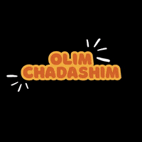 Welcome Home Israel GIF by Nefesh B'Nefesh