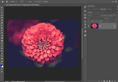photoshopvip giphyupload GIF