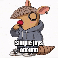 Wisdom Simplicity GIF by Chillo Dillo