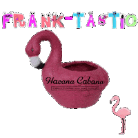 Cleethorpes Havanacabana Sticker by Lujo Group