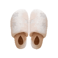 Slippers Pantuflas Sticker