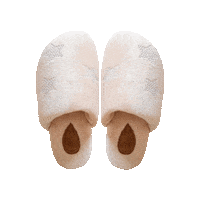 Slippers Sleepers Sticker