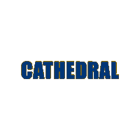 Go Irish Sticker by cathedralirish