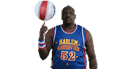hgsticker by Harlem Globetrotters